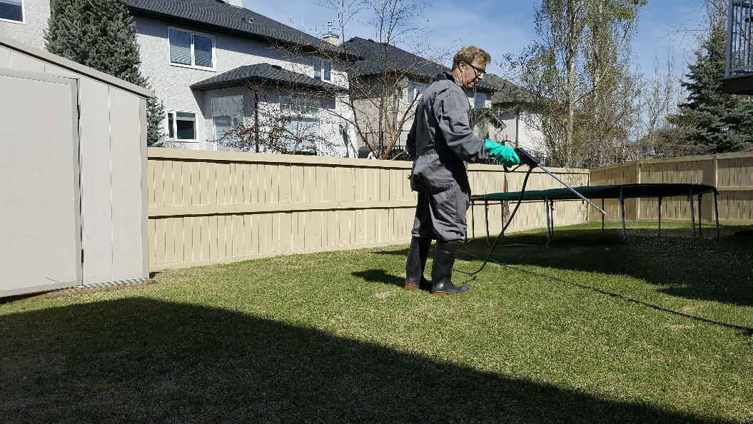 Calgary Lawn Fertilization & Weed Control Services Calgary Lawn Fertilization & Weed Control Services