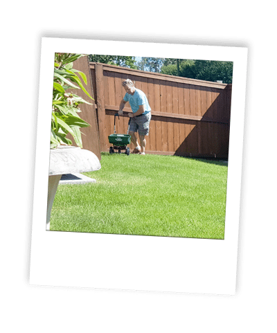 calgary fertilizer services applied to grass