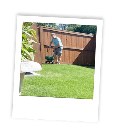calgary weed control_07 calgary fertilizer services applied to grass