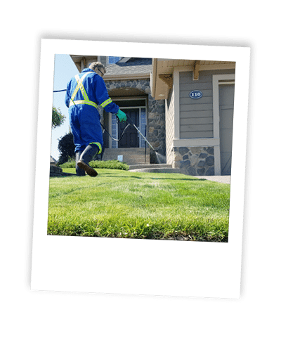calgary weed control_03 applying weed control treatment to calgary lawn