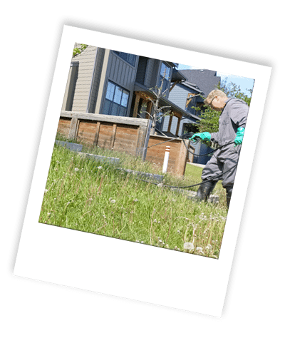 calgary weed control_05 calgary weed control services are applied to grass