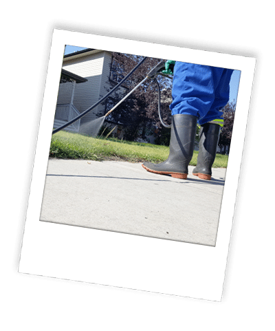 application of weed control and lawn fertilizer in calgary
