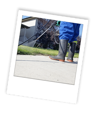 calgary weed control_09 application of weed control and lawn fertilizer in calgary