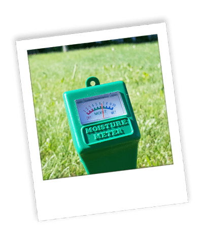 calgary weed control_08 healthy lawn with fertilizer and weed control package