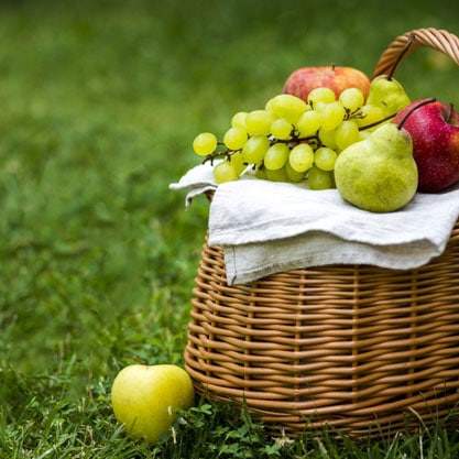 lawn fertilization and weed control image_11 picnic basket on green weed-free lawn
